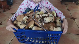 12кг. Білих грибів за 1 годину!!! Неймовірна Грибалка в Карпатах! 🍄 🍄 🍄 (27.06.2023)