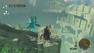 Evil Spirit Ganon Kills Thunder Gleeok In 30 Seconds TOTK