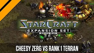 How Cheesy can This Zerg Get vs the #1 Ranked Terran??