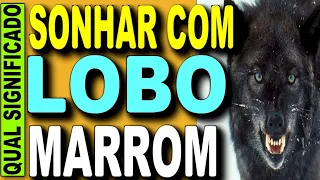 🔥 SONHAR COM UM LOBO MARROM JOGO DO BICHO, SONHAR COM LOBO NUMERO DA LOTERIA, SONHAR COM UM LOBO