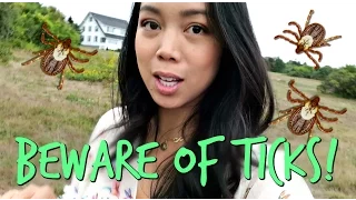 BEWARE OF TICKS IN MAINE! - -  ItsJudysLife Vlogs