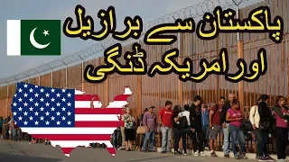 Brazil visa for Pakistan --- Brazil and Usa ki donkey --- Usa ki donkey in hindi and urdu