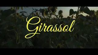 Girassol - Priscilla Alcantara e Whindersson Nunes (Clip Oficial) Música