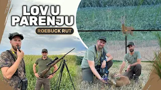 Parenje Srndaća - Lov u Vojvodini/Roebuck rut - hunting in Flatland |TRAILER | E206