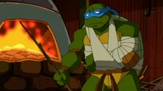 Teenage Mutant Ninja Turtles Season 1 Episode 20 - The Monster Hunter