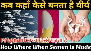 Spermatogenesis, वीर्य कैसे बनता है और बच्चा कैसे पड़ता है,Sperm kaise badhaye in Hindi, Virya gada