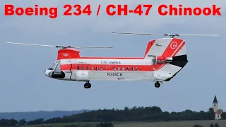 Boeing 234 / CH-47 Chinook, giant RC helicopter, Nesvacily 2020