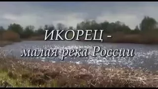 Лискинский район село Средний Икорец  р.Икорец