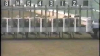 Sham - 1973 Santa Anita Derby