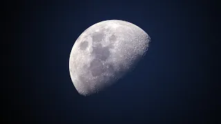 Japanese Billionaire Offers Trip around the Moon