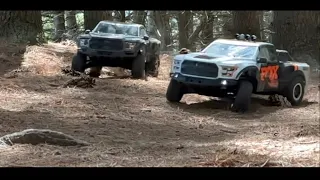 Raptor full throttle through the woods!