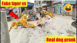 fake tiger vs real dog prank in bd 2021 | try not to laugh