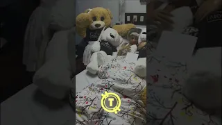 ANUEL AA le envía REGALOS a YAILIN en la CLÍNICA🥰