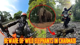 Beware of wild Elephants in Charmadi Ghat 🐘 | Maidadi View point
