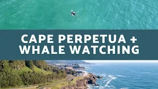 Cape Perpetua Oregon | Thor's Well, Haceta Head Lighthouse + Whale Watching