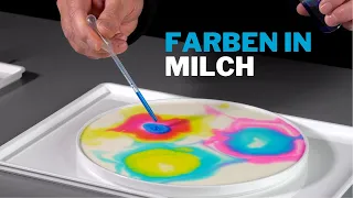 Farbenspiele in Milch - Mitmach-Experiment