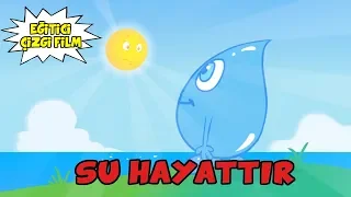 Su Hayattır - Eğitici Çizgi Film