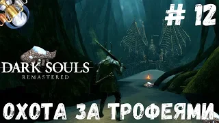 Dark Souls REMASTERED на платину: ч.12. ОХОТА НА ЯЩЕРИЦ В ПОЛОСТИ