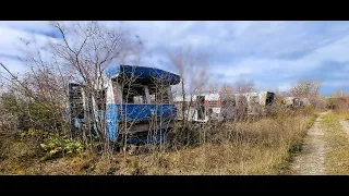 Abandoned Trailer Park/Summer Cottages ~ Ohio ~