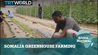 Africa Matters: Somalia goes greenhouse to combat drought