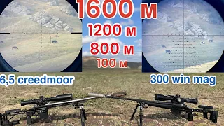 300 win mag vs 6.5 creedmoor стрельба до 1600 м. 1-миля.