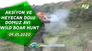 AV ZAMANI PİRİNÇÇİ DOMUZ AVI 3  WILD BOAR HUNTİNG