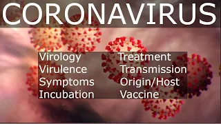 Coronavirus Disease 2019 (COVID-19)