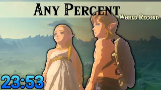 BotW Any% 23:53 [Former WR]