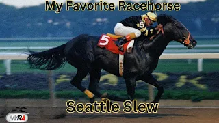 My Favorite Racehorse:  Seattle Slew with @Roadwarrior627