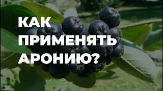 АРОНИЯ ЧЕРНОПЛОДНАЯ или ЧЕРНОПЛОДНАЯ РЯБИНА. Как применять? / Захар Травник