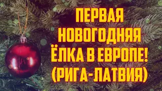 ПЕРВАЯ НОВОГОДНЯЯ ЁЛКА В ЕВРОПЕ! (РИГА-ЛАТВИЯ) | КРИМИНАЛЬНАЯ ЛАТВИЯ