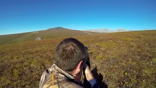 Alaska grizzly bear hunt