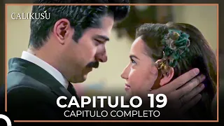 Calikusu Capitulo 19