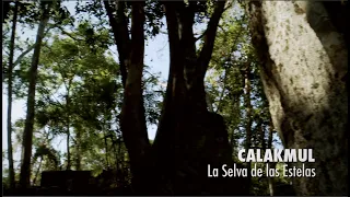 Calakmul, la selva de las estelas. PIEDRAS QUE HABLAN