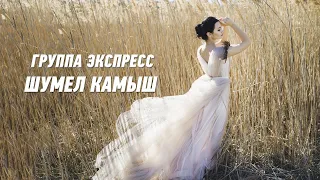 Шумел камыш - группа Экспресс. Душевная песня. Одесские песни / Odessa Music /