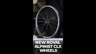 NEW 1250g Roval Alpinist CLX II Tubeless Wheels First Look #shorts