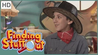 Finding Stuff Out - "Best of Finding Stuff Out" Season 1, Episode 16 (FULL EPISODE)