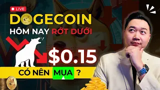 DOGE Coin Rớt Dưới $0.15 Hôm Nay. Có Nên Mua?
