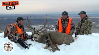Utah Mule Deer Madness!
