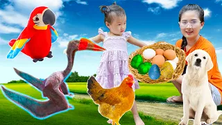 Dog eats chicken eggs, Changcady goes looking for bird eggs, chicken eggs, dinosaur eggs - Part 299