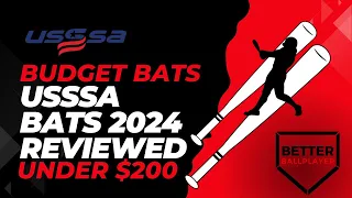 Budget Friendly USSSA Baseball Bats in 2024