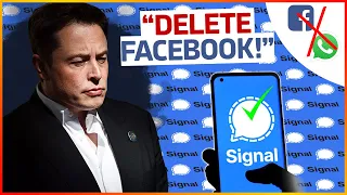 Elon Musk: "Delete Facebook & Whatsapp and use the alternative instead!"