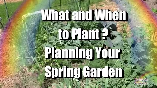 What and When to Plant for Your Spring Garden - Planning Your First Garden