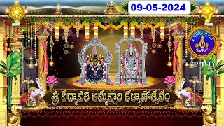 Sri Padmavathi Ammavari Kalyanotsavam || Tiruchanoor || 09-05-2024 || SVBC TTD