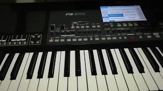 korg pa600  virüs bulaşırsa ne yapmalıyız. Bütün orglar için geçerli