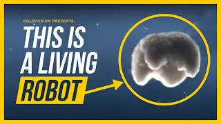 Scientists Create the FIRST Living Robot!