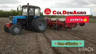 2024.04.13 🚜АВТОПІЛОТ. 🫛Соя-Піонер. 35 міжряддя