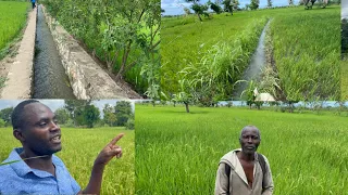 Wouch Gadon Taktik Peyizan yo anplwaye pou yo pouse Zwazo,Edith Blain Ateri Kwakou 1#agriculture