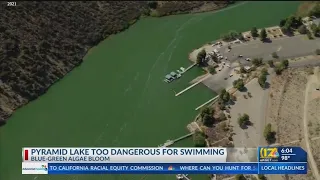 Pyramid Lake too dangerous for swimming