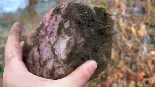 quick dig at the rose quartz mine